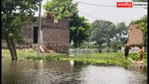 Samastipur News: मोहिउद्दीन नगर में चौथी बार गंगा का पानी पंहुचा , किसान-पशुपालक प्रभावित