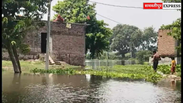 Samastipur News: मोहिउद्दीन नगर में चौथी बार गंगा का पानी पंहुचा , किसान-पशुपालक प्रभावित