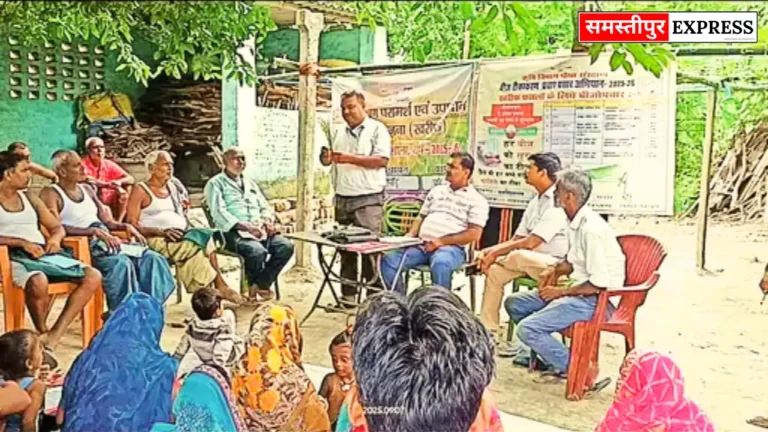 किसानों को चेतावनी: फसलों में कीट और रोग की अनदेखी न करें, हो सकता है बड़ा नुकसान