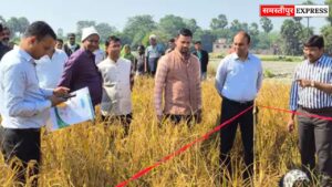 समस्तीपुर में अगहनी धान की कटनी का आकलन पूरा: कल्याणपुर में 50.600 क्विंटल प्रति हेक्टेयर उपज दर्ज