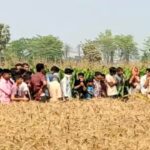 समस्तीपुर न्यूज़: मुसरीघरारी में गेहूं के खेत में मिला युवक का अज्ञात शव, तेजाब से जलाया चेहरा; इलाके में सनसनी | Samastipur Express