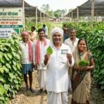 paan-farming-subsidy-bihar-samastipur-news