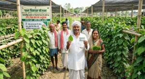 paan-farming-subsidy-bihar-samastipur-news